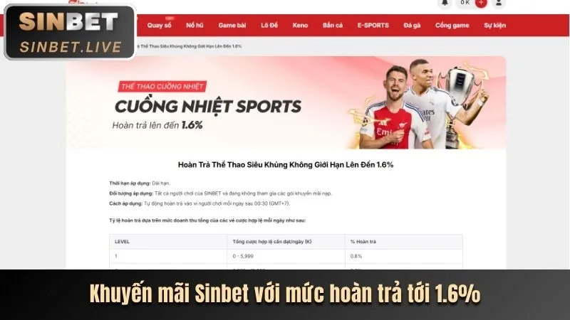 Hoàn trả casino ibet